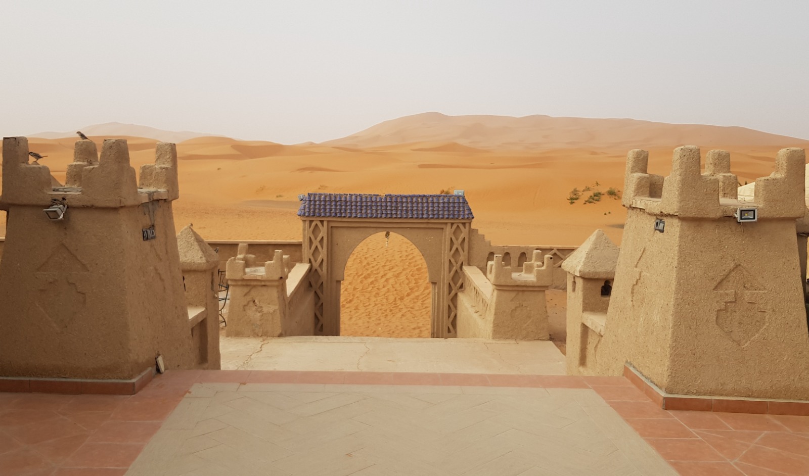 Berber guide with camels